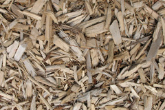 biomass boilers Detchant